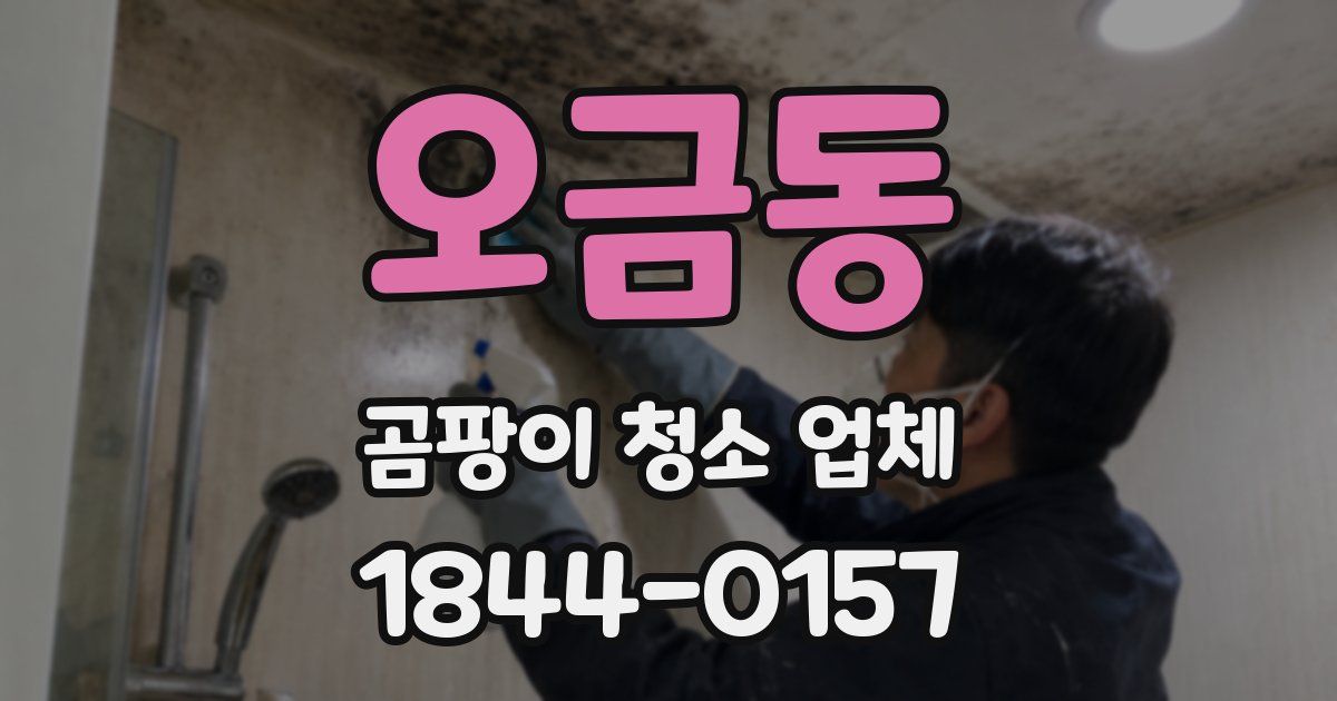 오금동 곰팡이 청소 업체