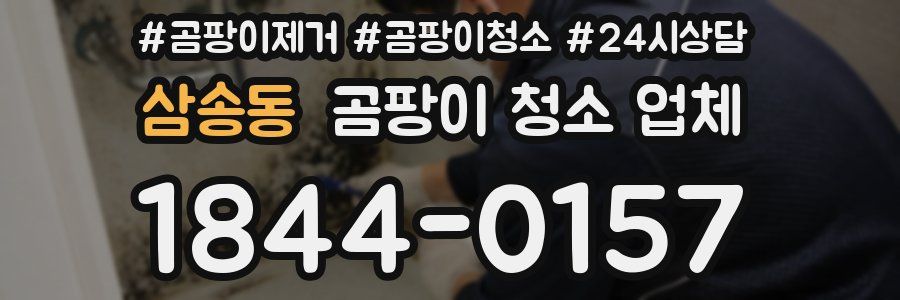 삼송동 곰팡이 청소 업체