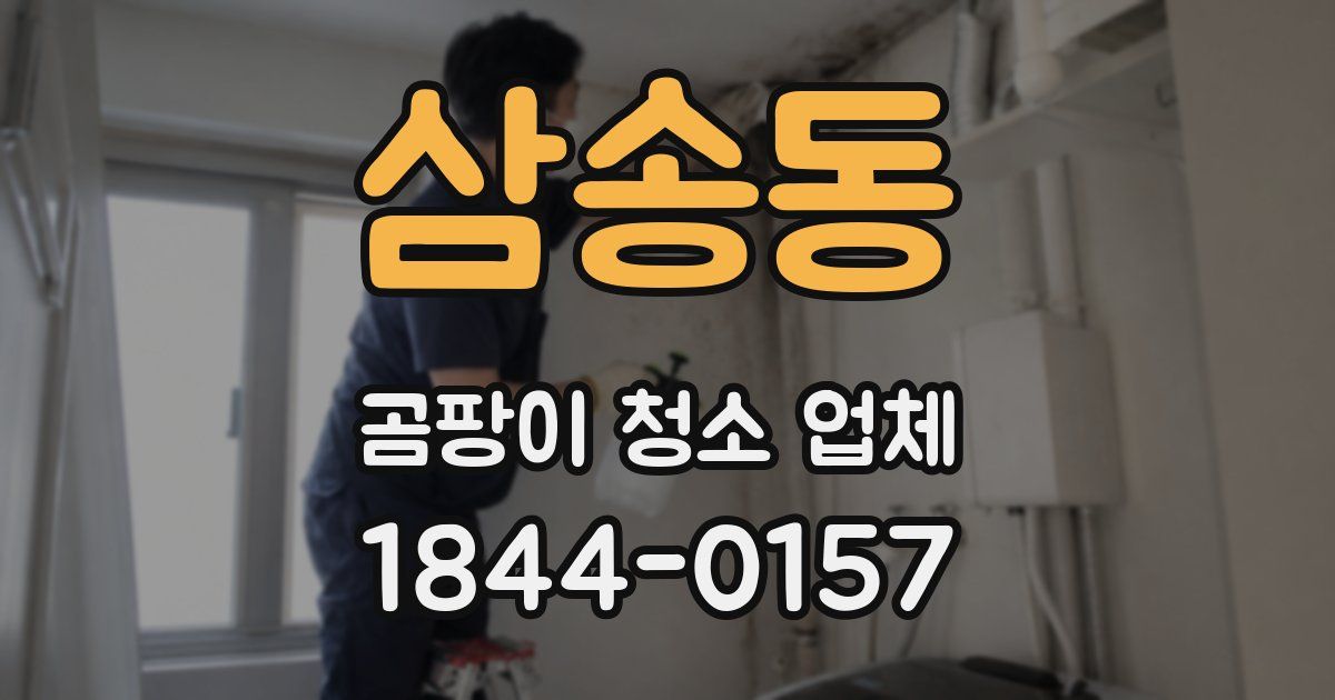 삼송동 곰팡이 청소 업체