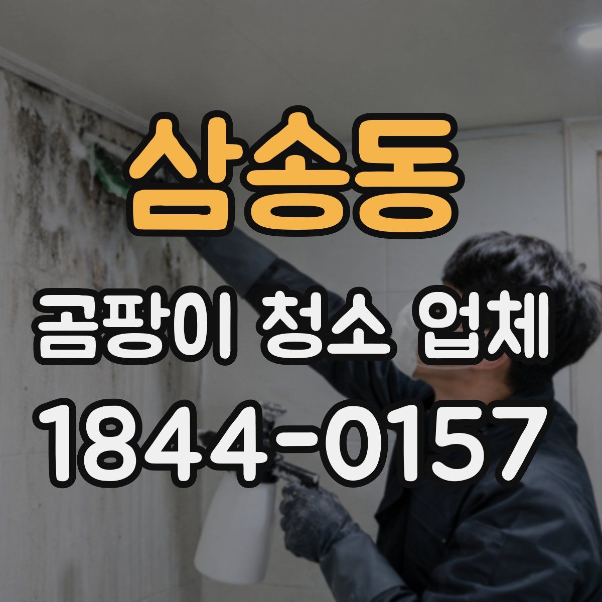 삼송동 곰팡이 청소 업체