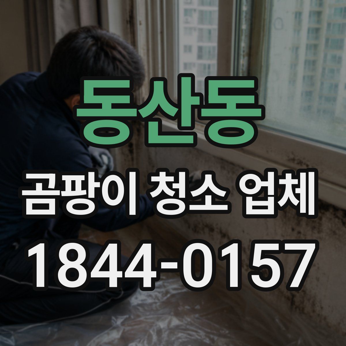 동산동 곰팡이 청소 업체