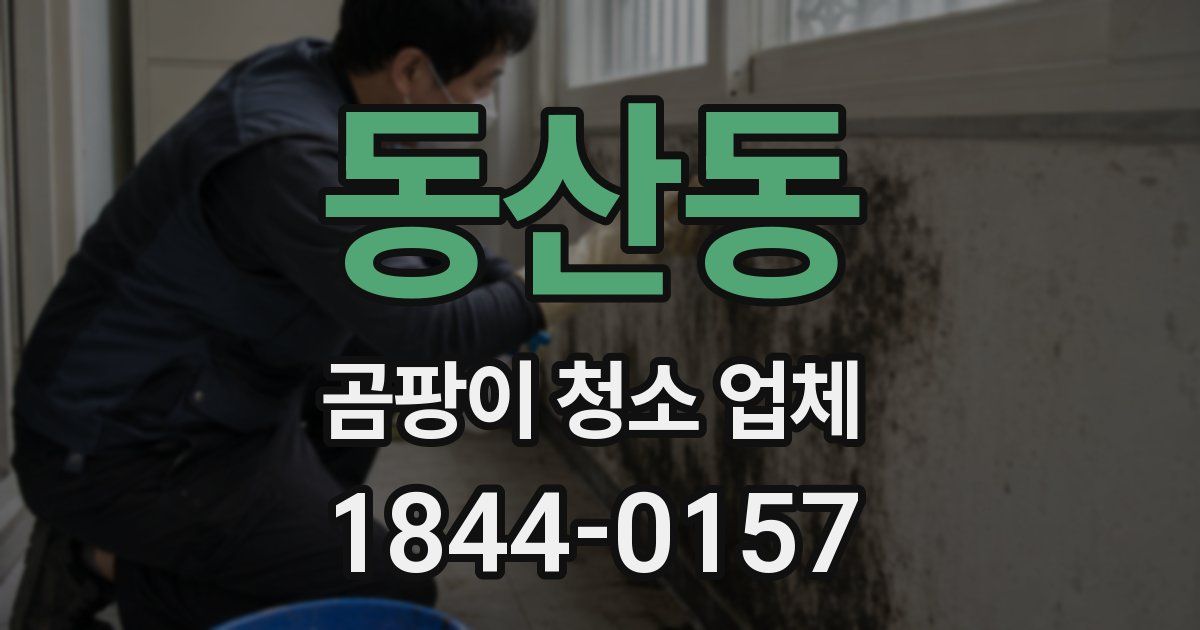 동산동 곰팡이 청소 업체