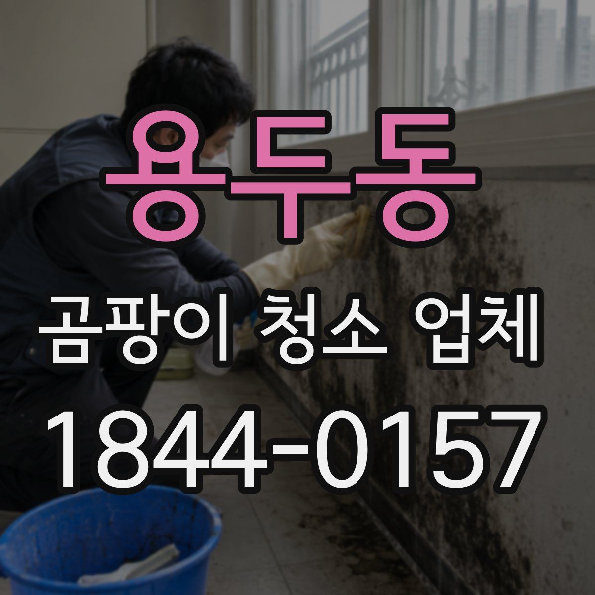 용두동 곰팡이 청소 업체