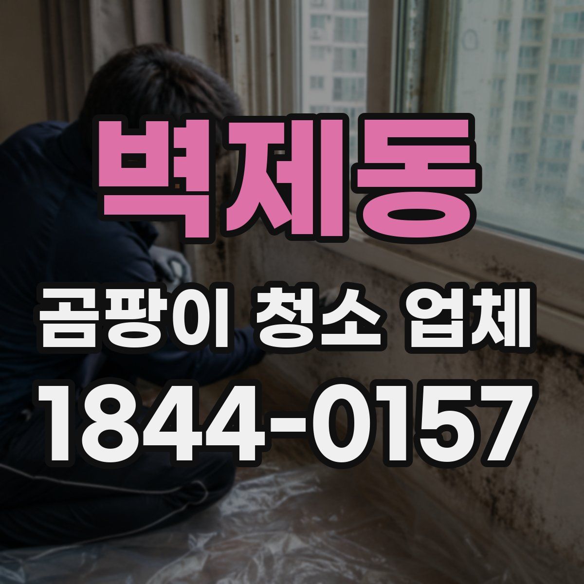 벽제동 곰팡이 청소 업체