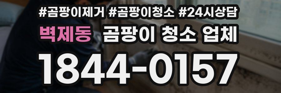 벽제동 곰팡이 청소 업체