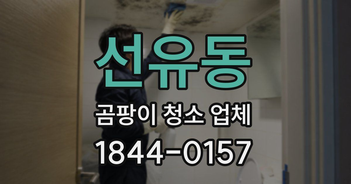 선유동 곰팡이 청소 업체