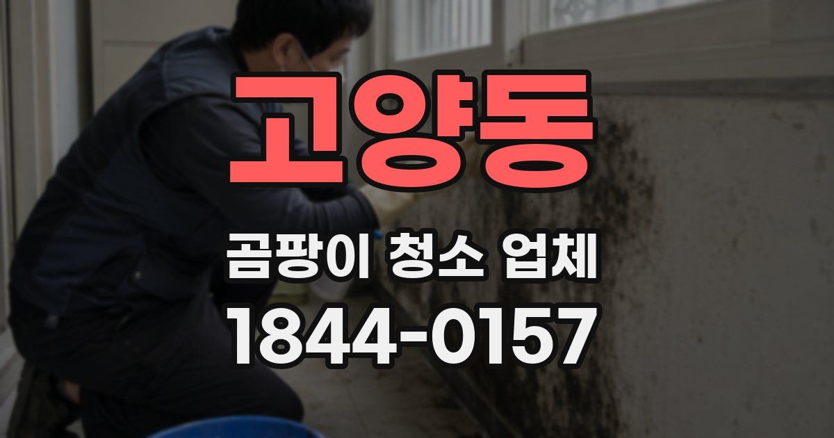 고양동 곰팡이 청소 업체