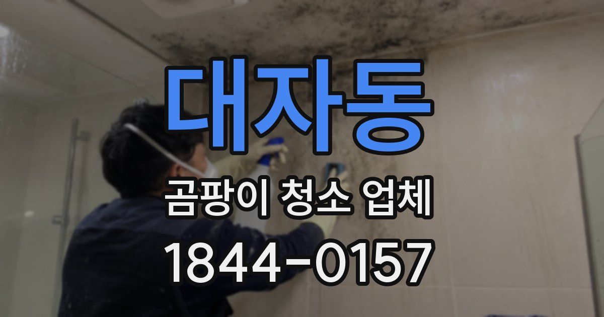 대자동 곰팡이 청소 업체