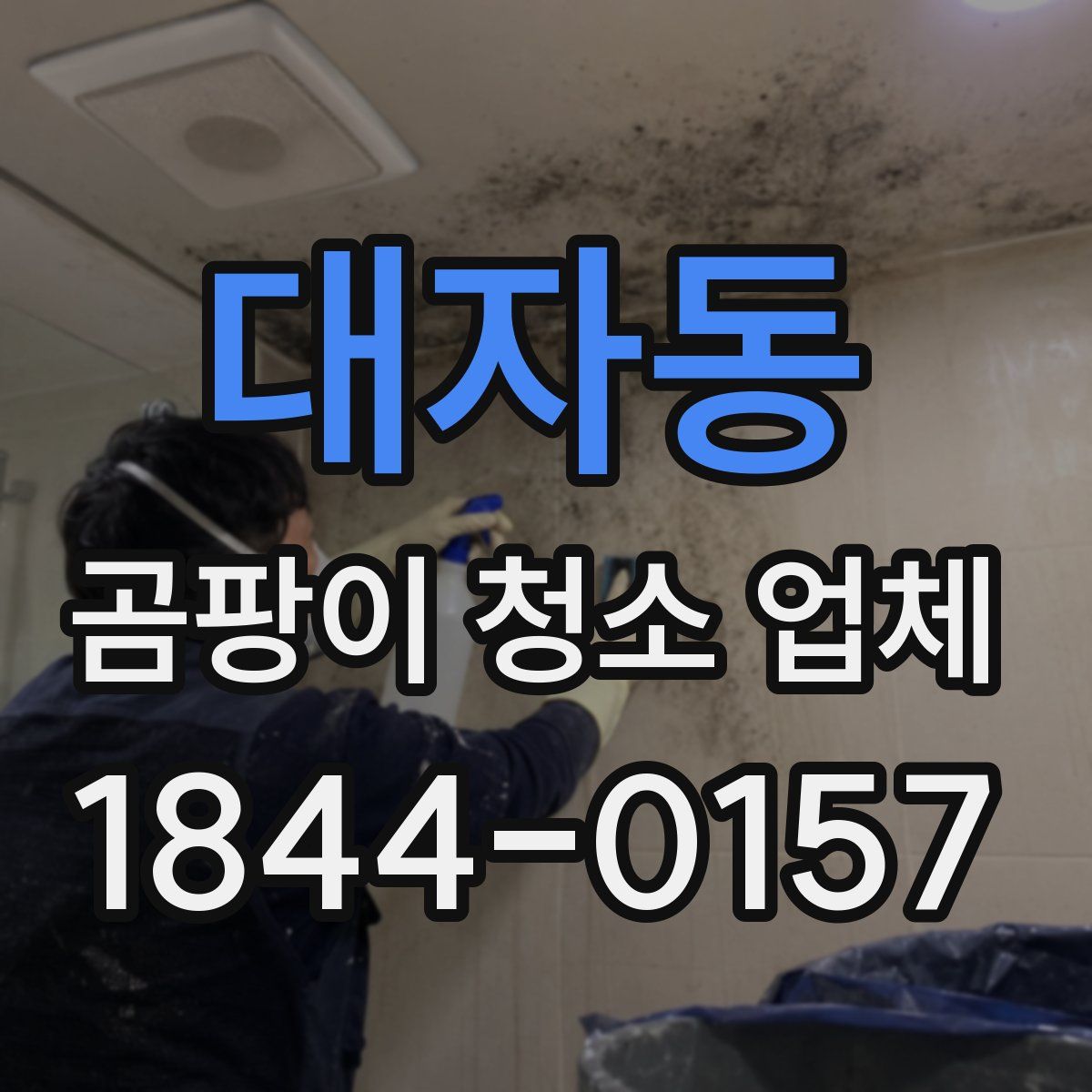 대자동 곰팡이 청소 업체