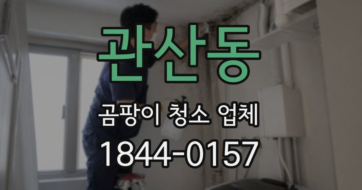 관산동 곰팡이 청소 업체