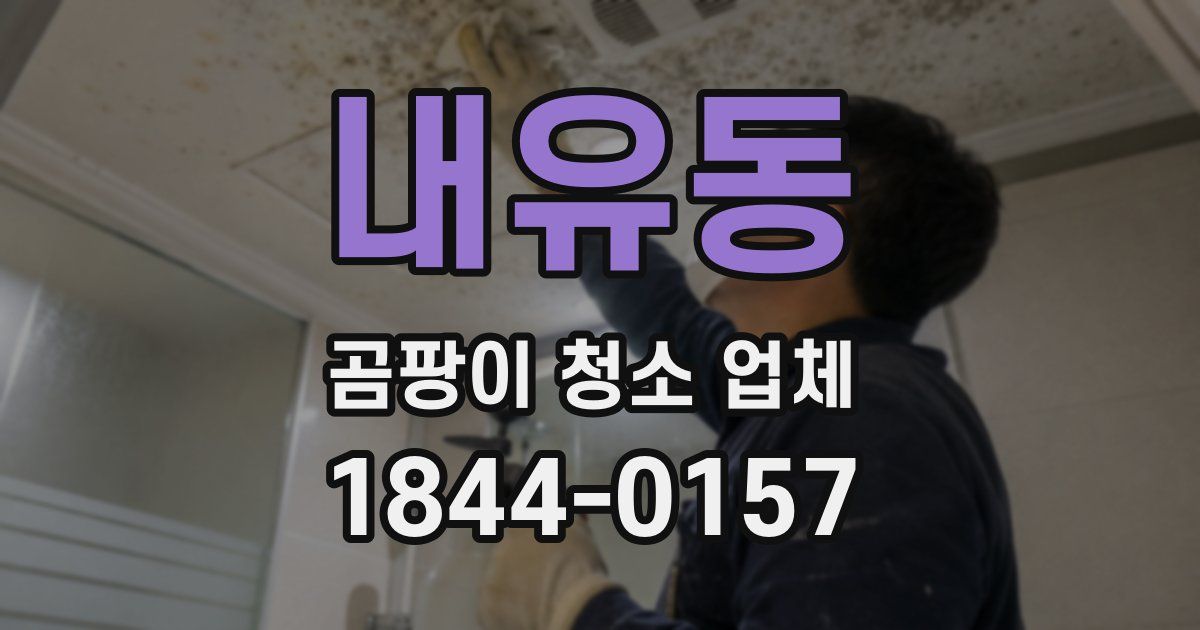 내유동 곰팡이 청소 업체