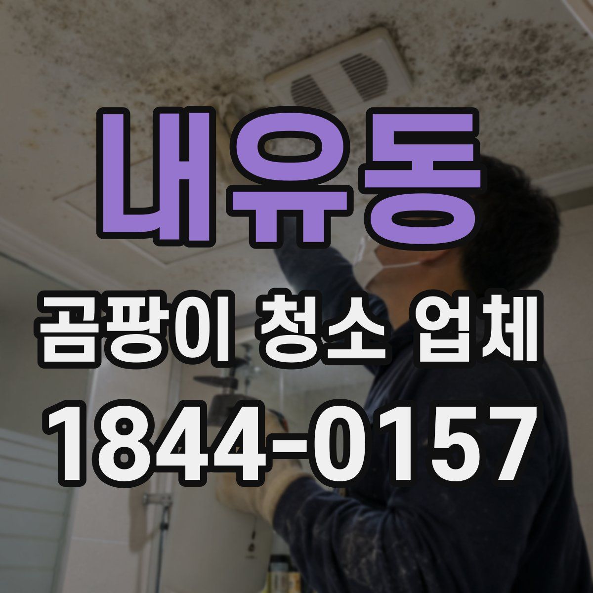 내유동 곰팡이 청소 업체