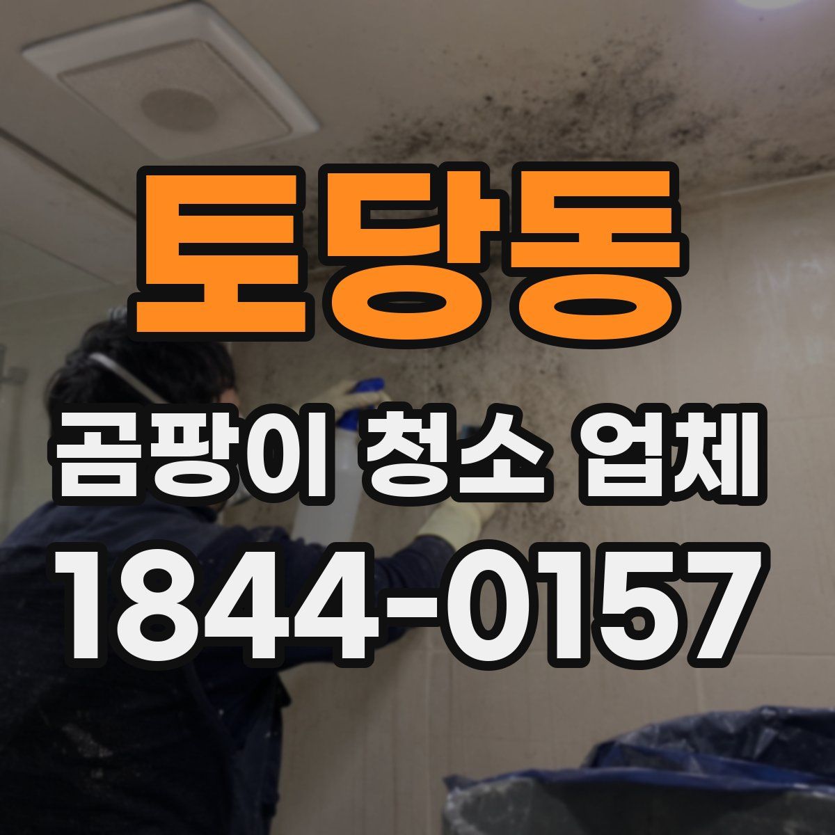 토당동 곰팡이 청소 업체