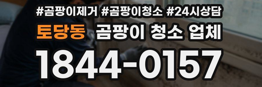 토당동 곰팡이 청소 업체