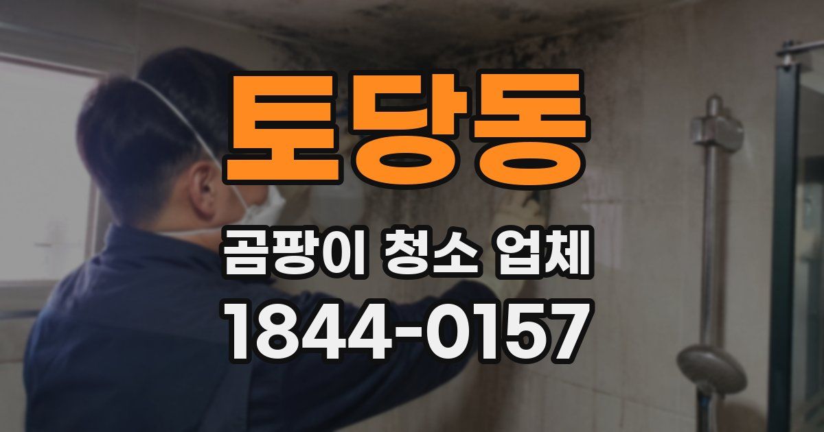 토당동 곰팡이 청소 업체
