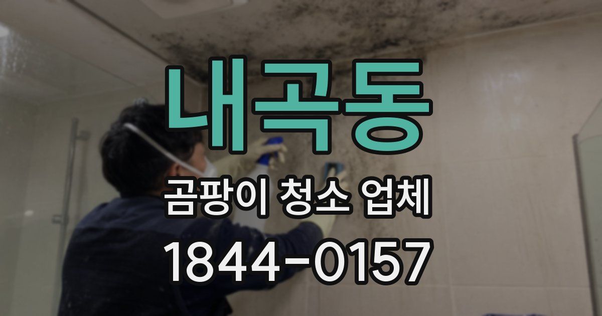 내곡동 곰팡이 청소 업체