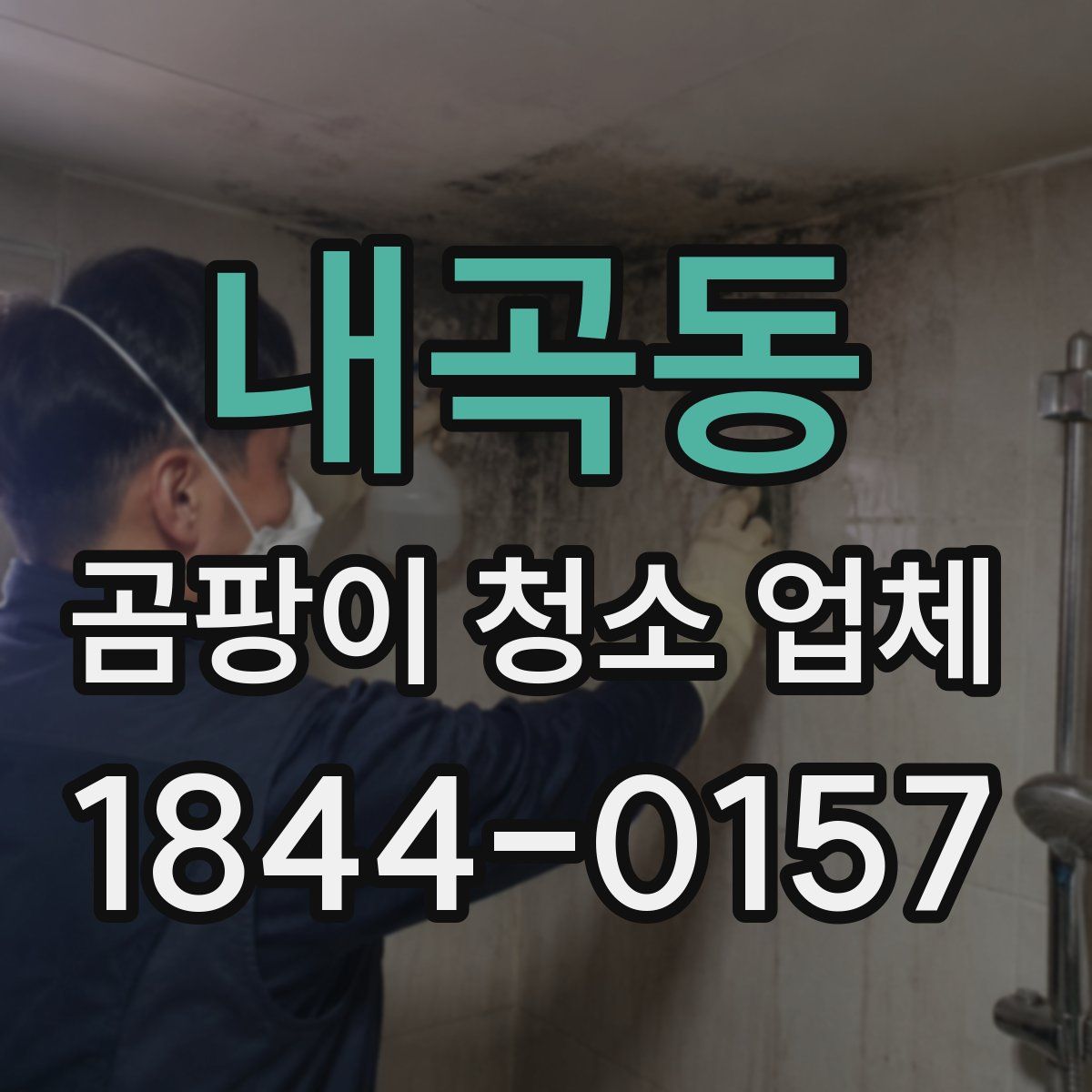 내곡동 곰팡이 청소 업체