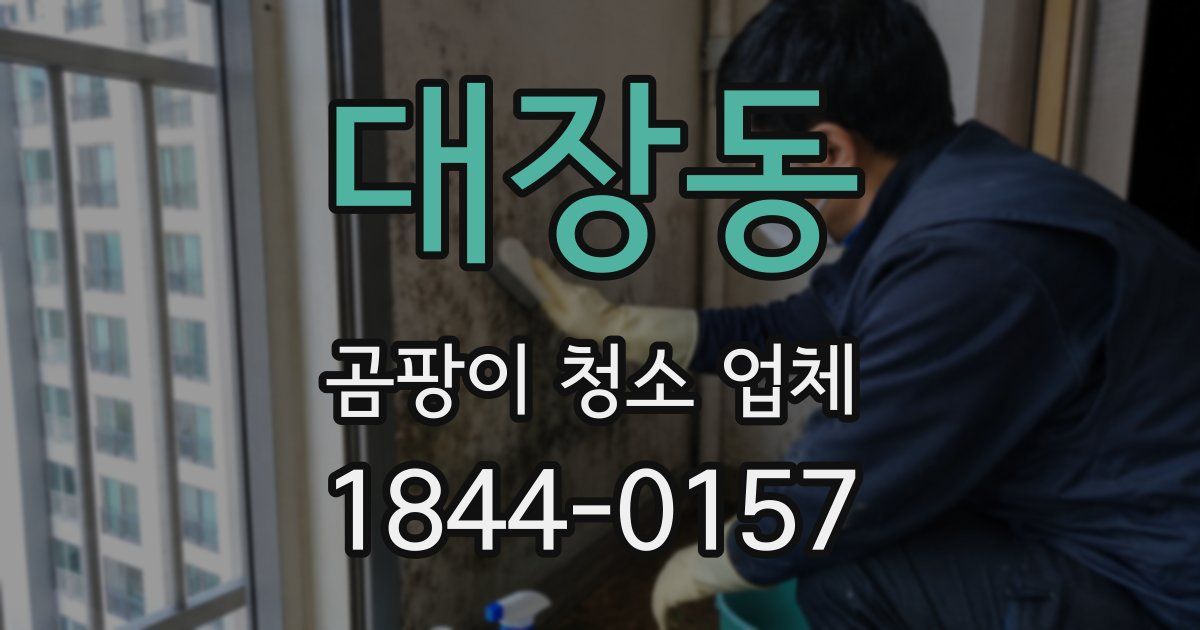 대장동 곰팡이 청소 업체