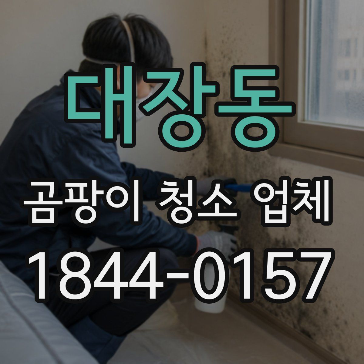 대장동 곰팡이 청소 업체