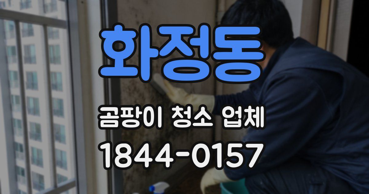 화정동 곰팡이 청소 업체