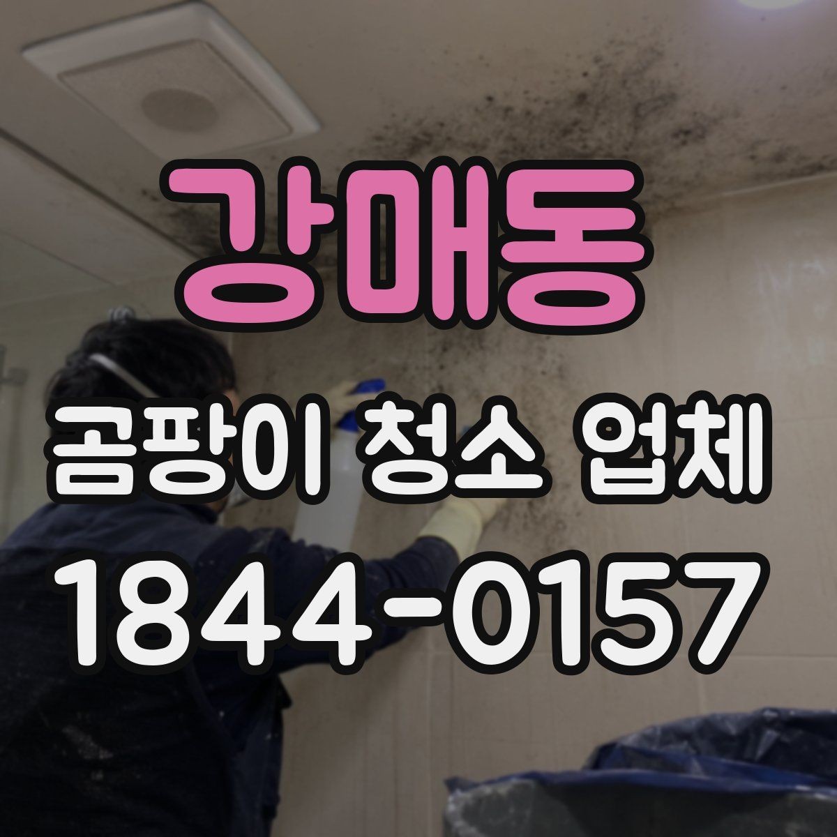 강매동 곰팡이 청소 업체 단순 청소 후 재오염을 막는 정리 과정