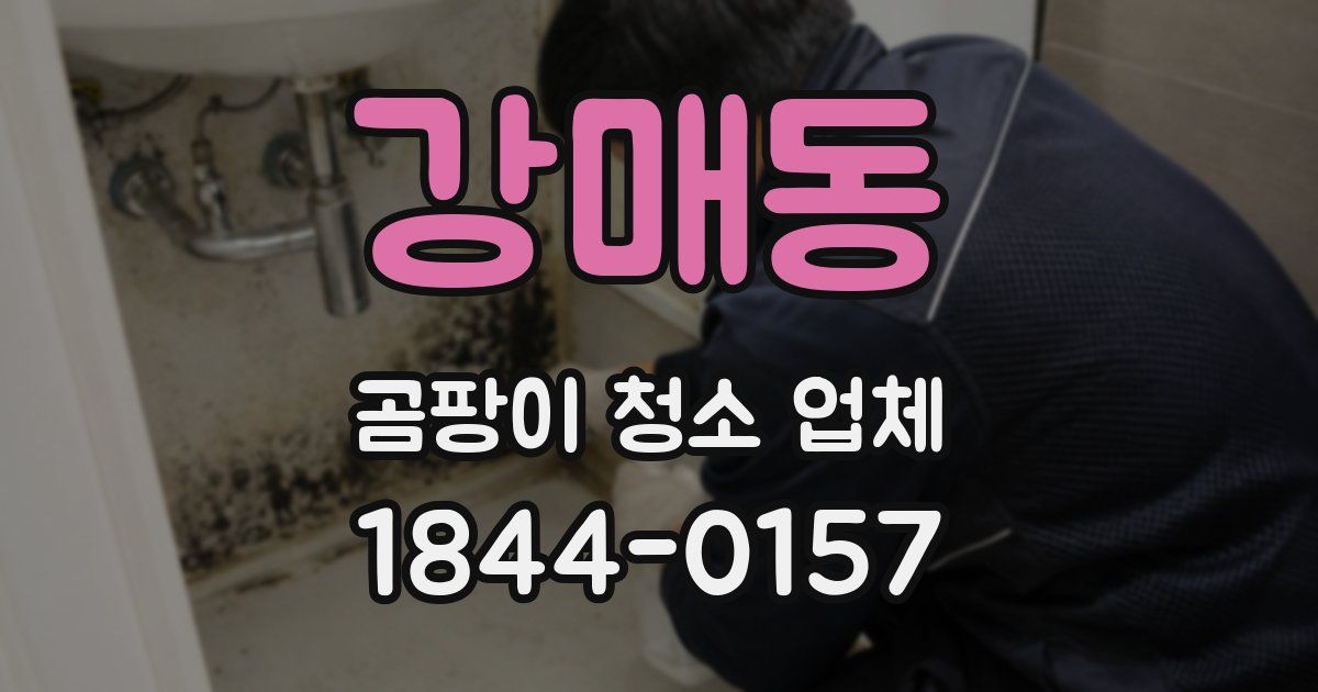 강매동 곰팡이 청소 업체