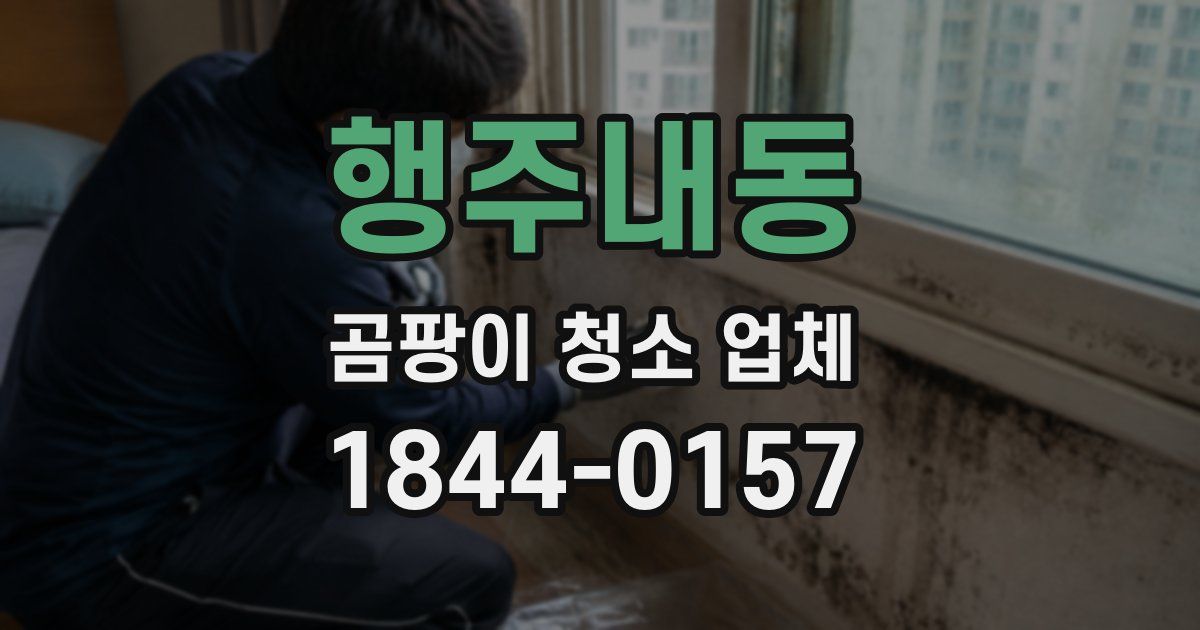 행주내동 곰팡이 청소 업체