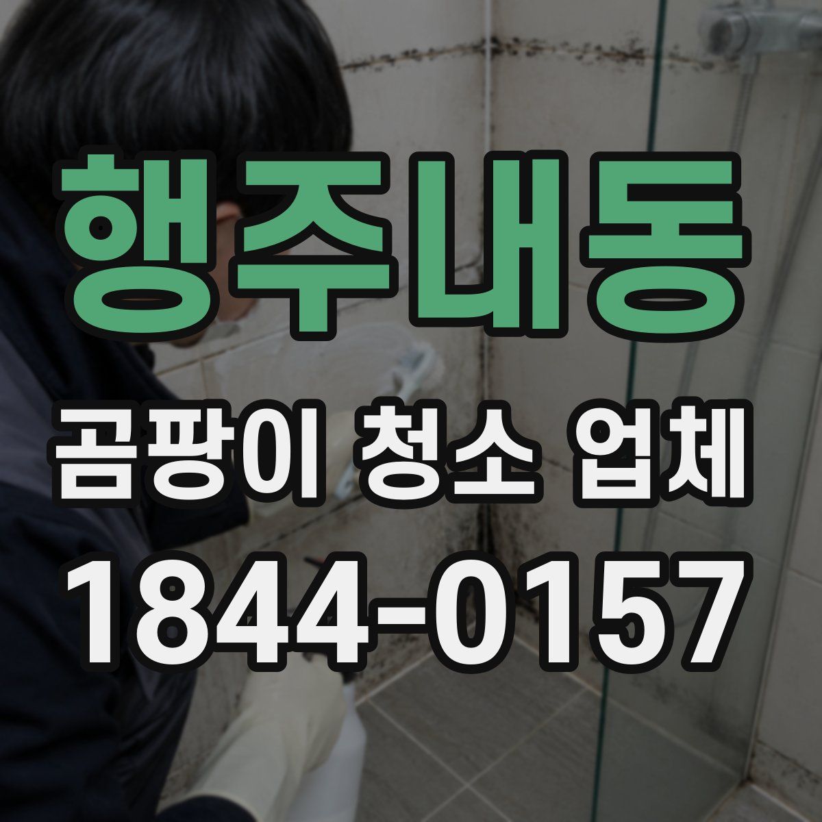 행주내동 곰팡이 청소 업체
