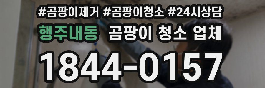 행주내동 곰팡이 청소 업체