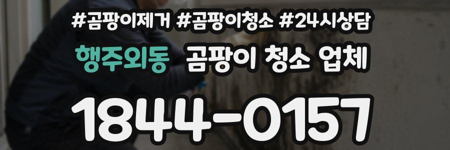 행주외동 곰팡이 청소 업체