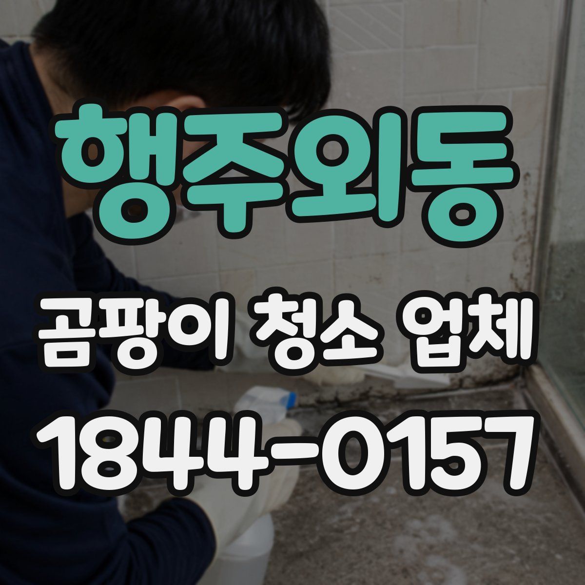 행주외동 곰팡이 청소 업체