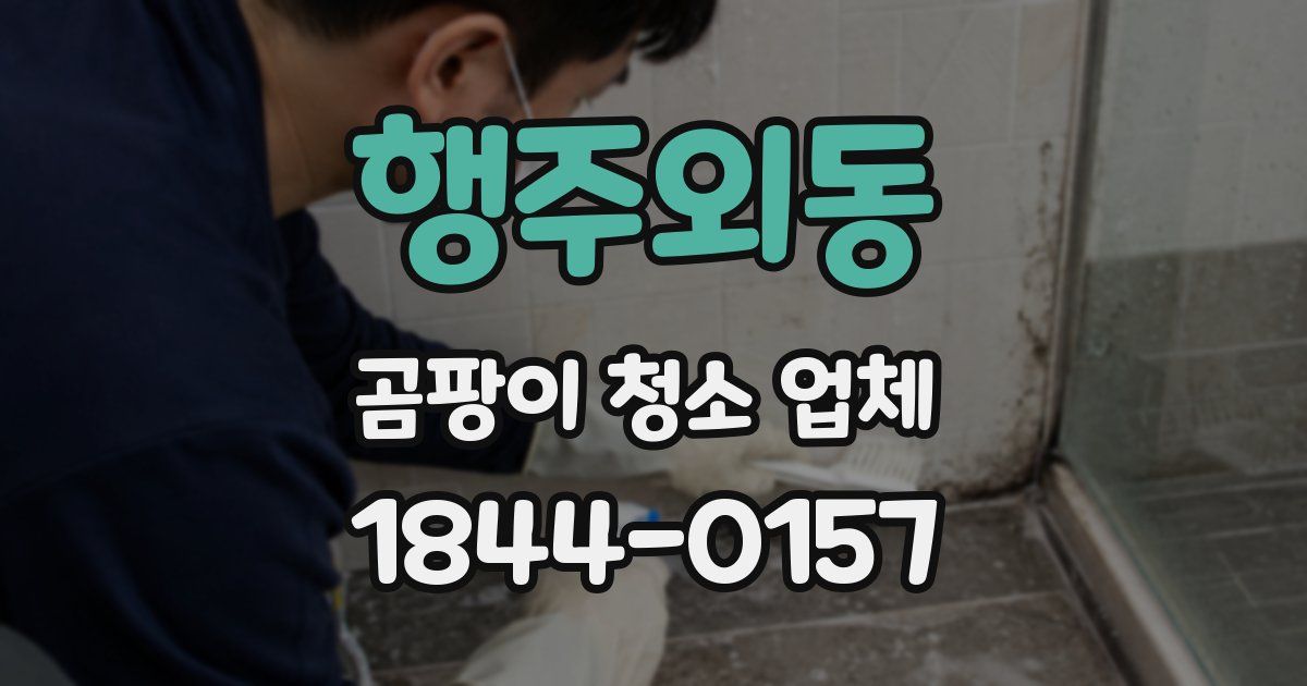 행주외동 곰팡이 청소 업체
