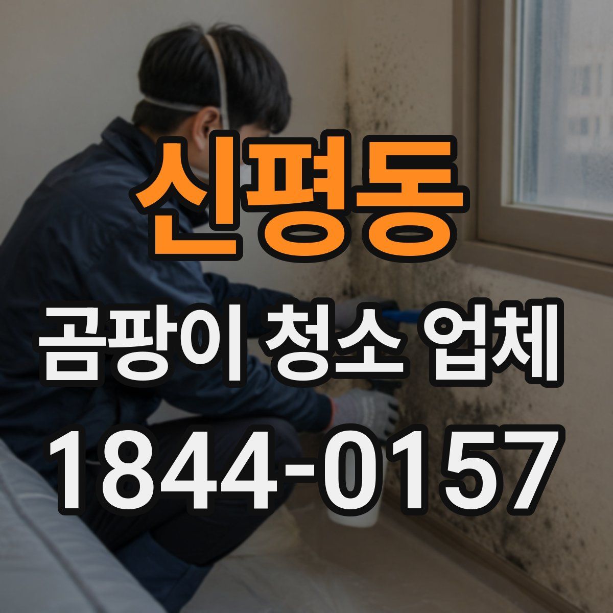 신평동 곰팡이 청소 업체