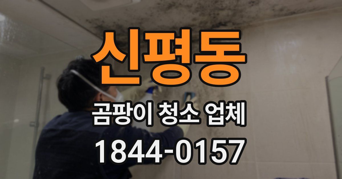 신평동 곰팡이 청소 업체