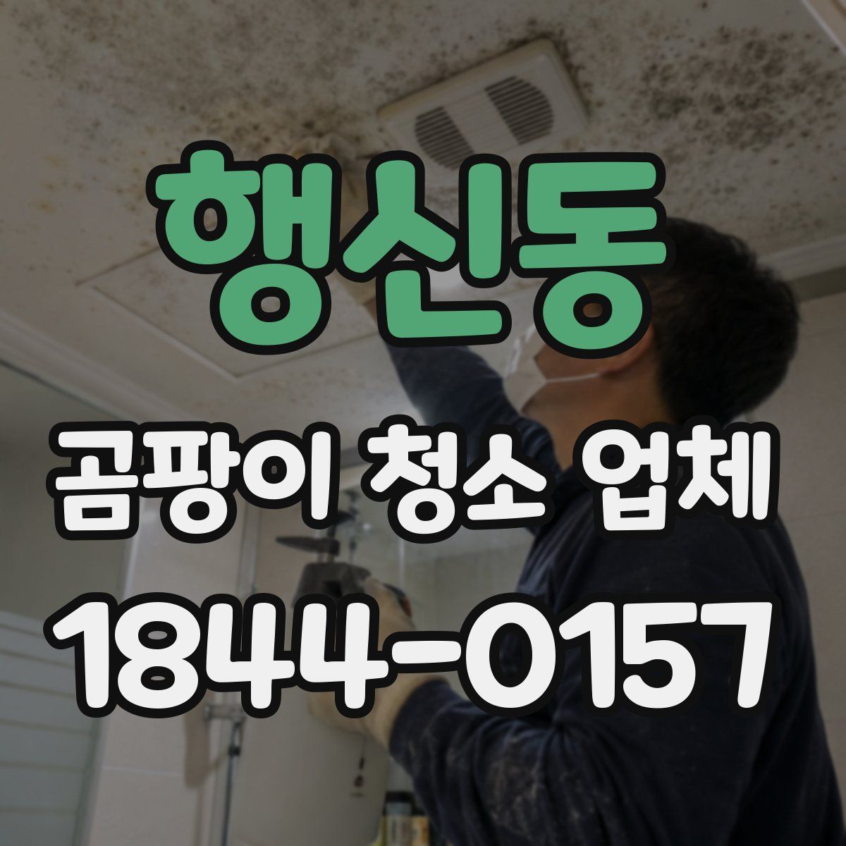 행신동 곰팡이 청소 업체
