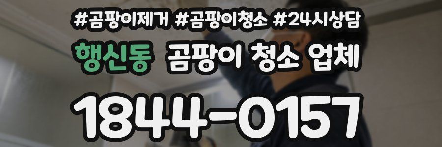 행신동 곰팡이 청소 업체