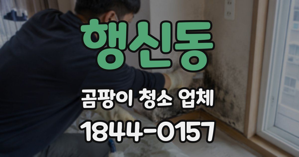 행신동 곰팡이 청소 업체