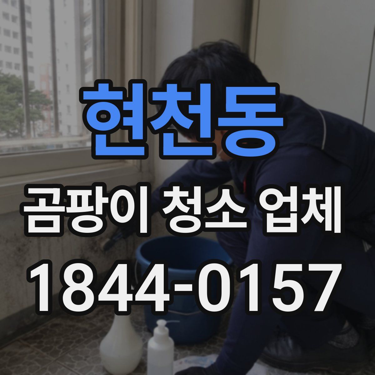 현천동 곰팡이 청소 업체
