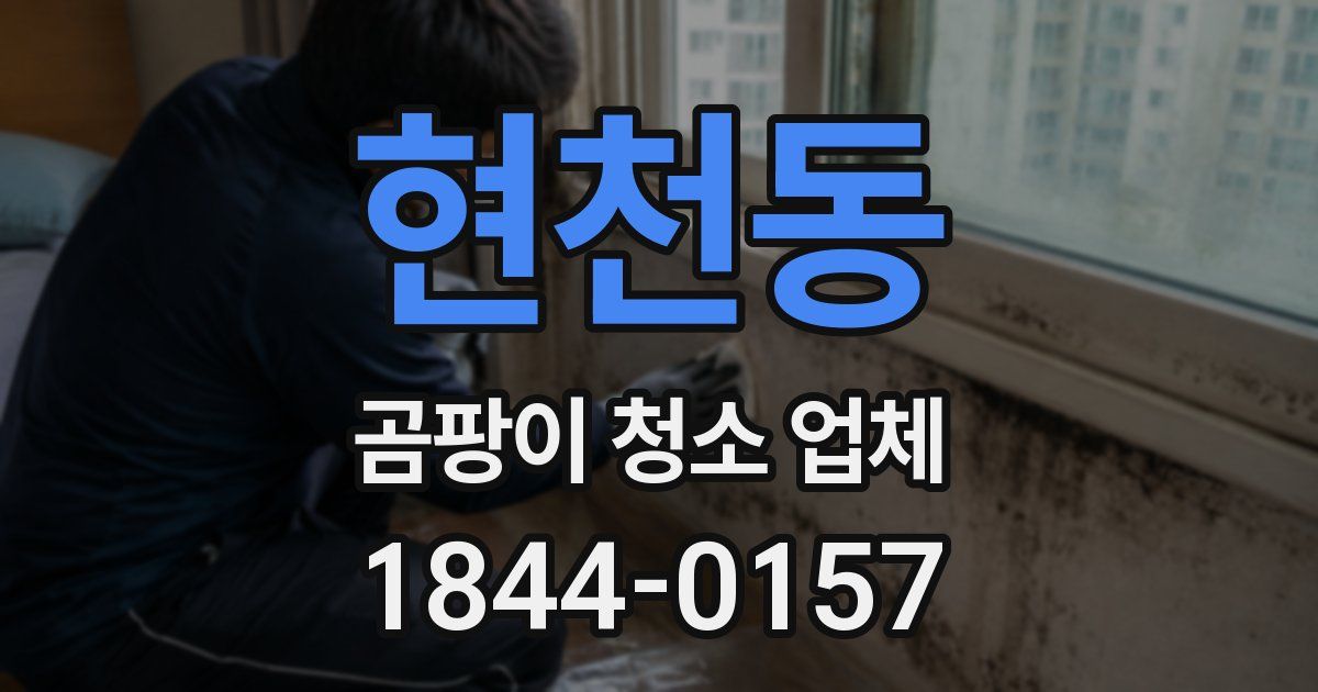 현천동 곰팡이 청소 업체