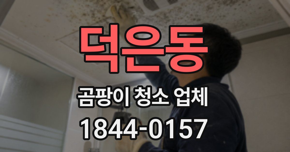 덕은동 곰팡이 청소 업체