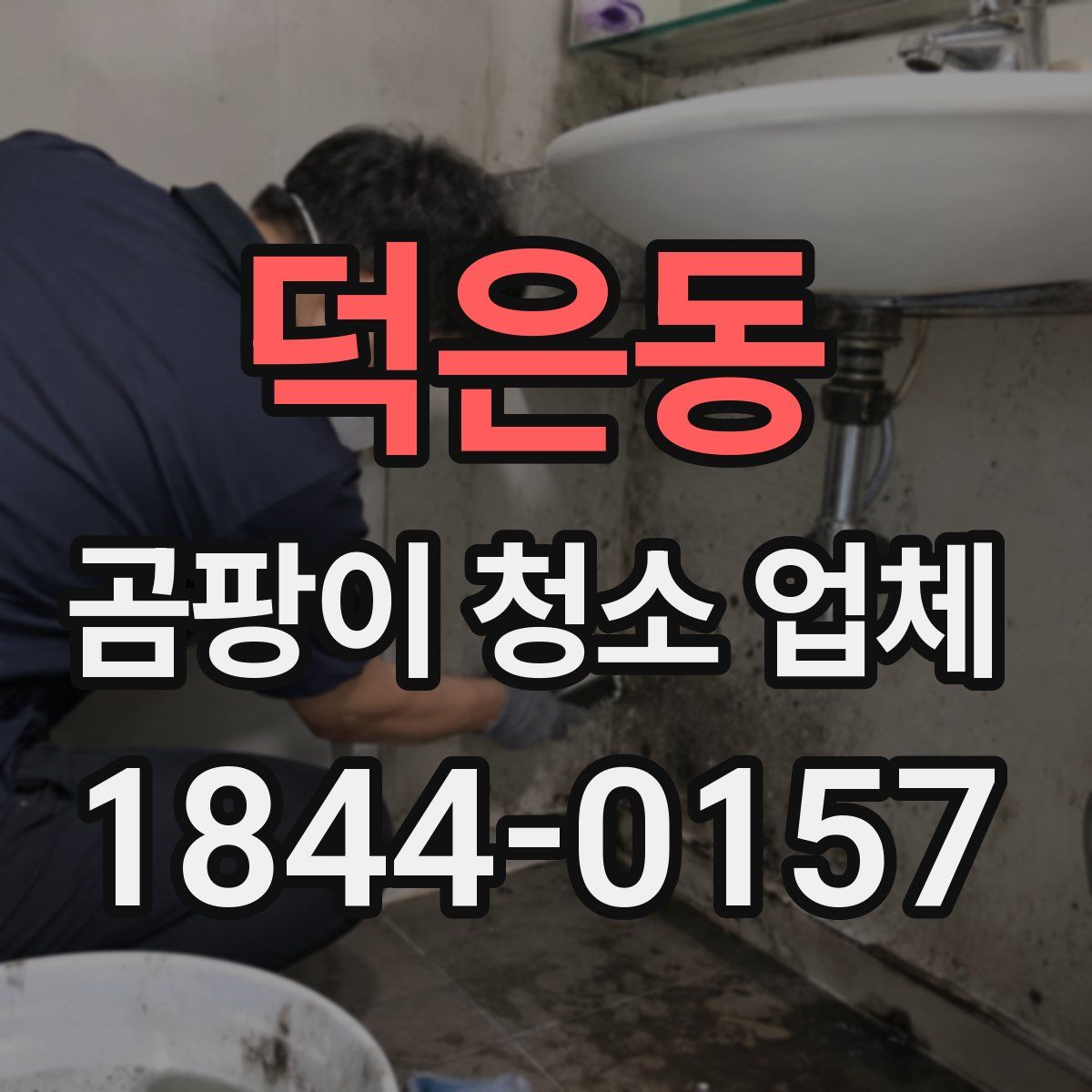 덕은동 곰팡이 청소 업체