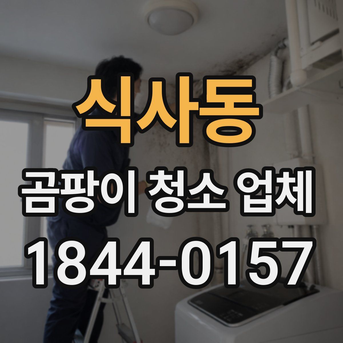 식사동 곰팡이 청소 업체