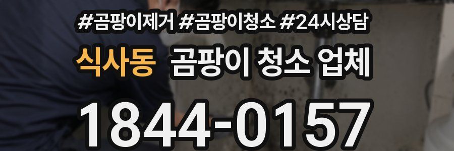식사동 곰팡이 청소 업체