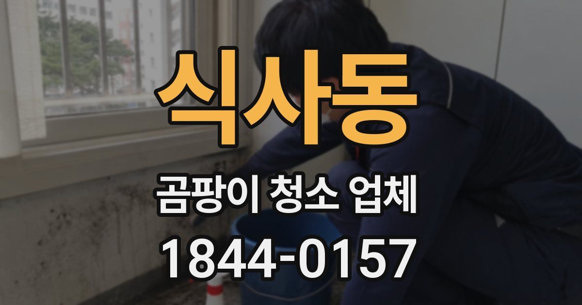 식사동 곰팡이 청소 업체