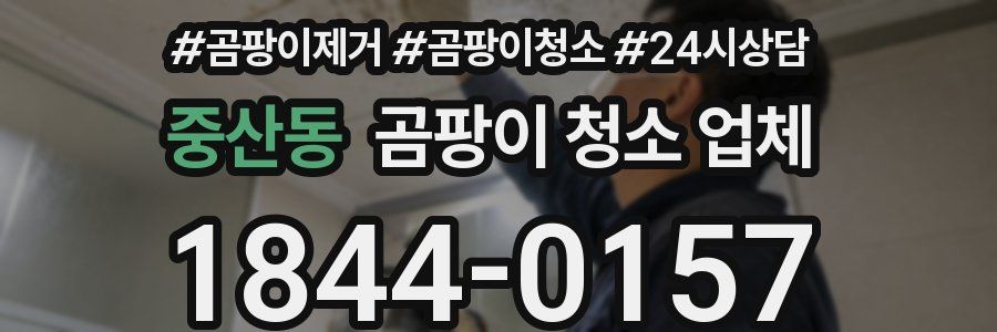 중산동 곰팡이 청소 업체