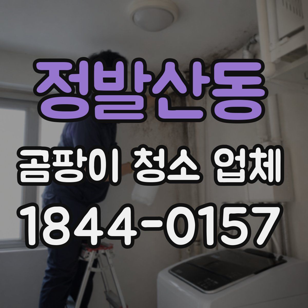 정발산동 곰팡이 청소 업체