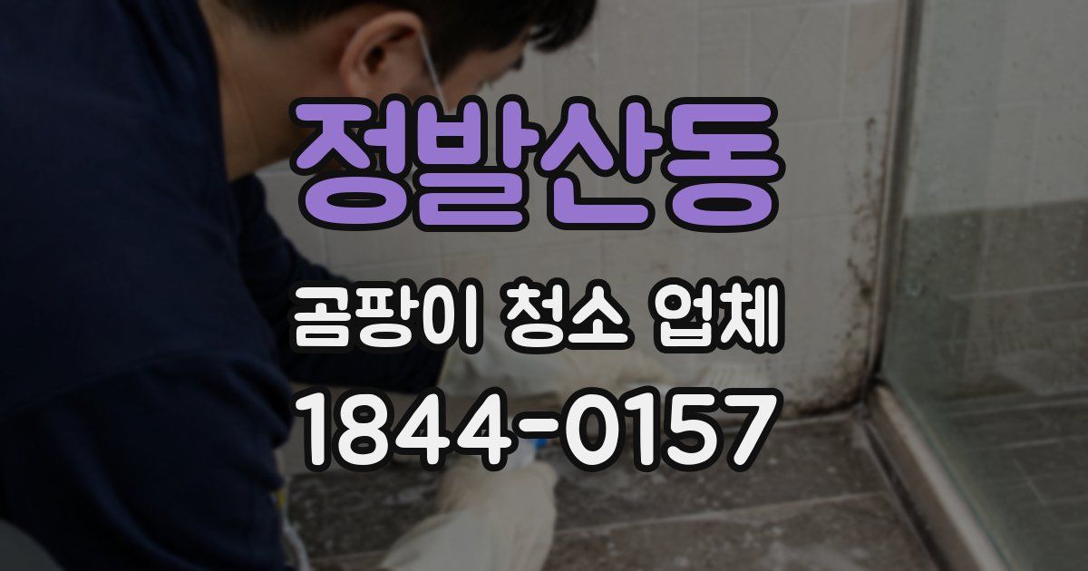 정발산동 곰팡이 청소 업체