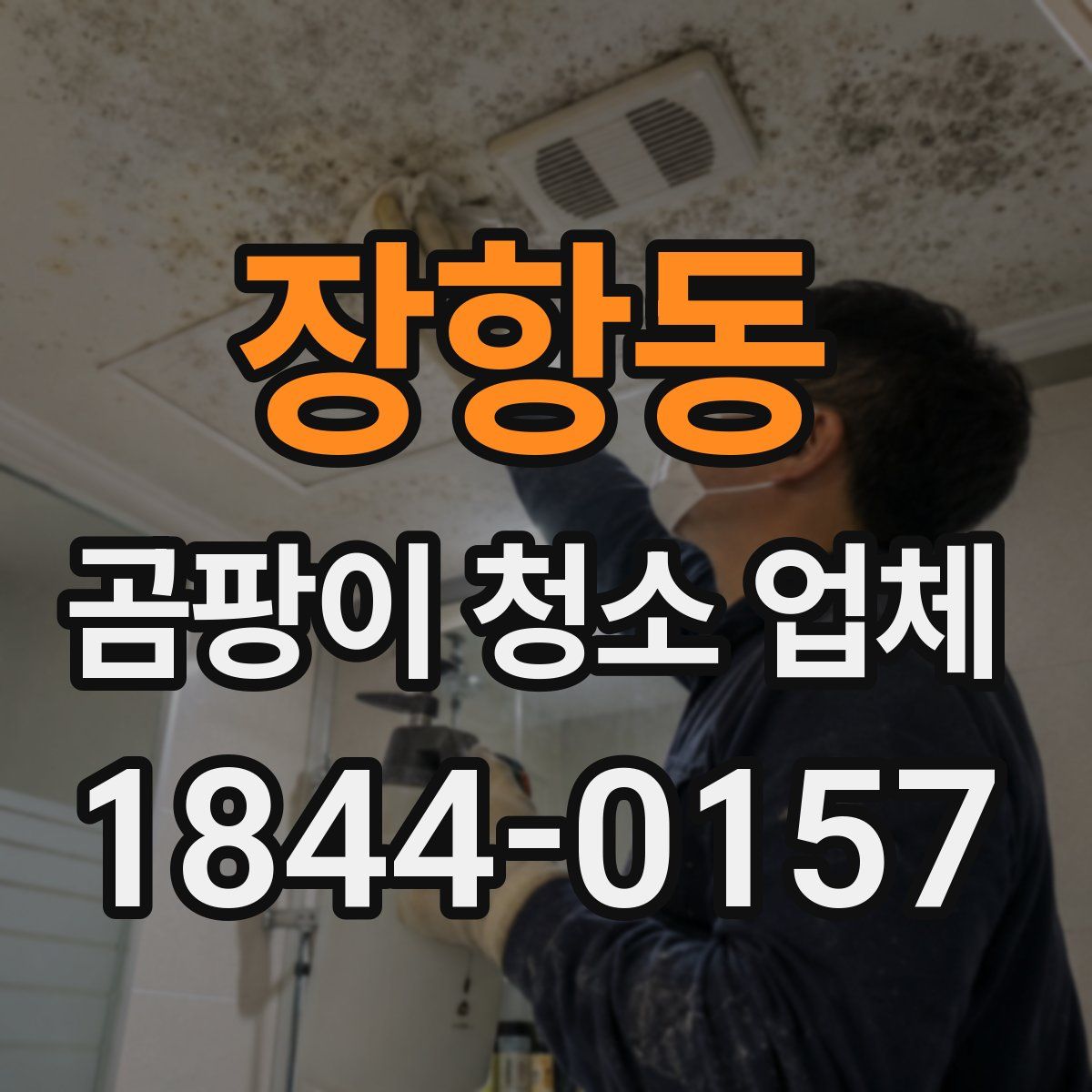 장항동 곰팡이 청소 업체