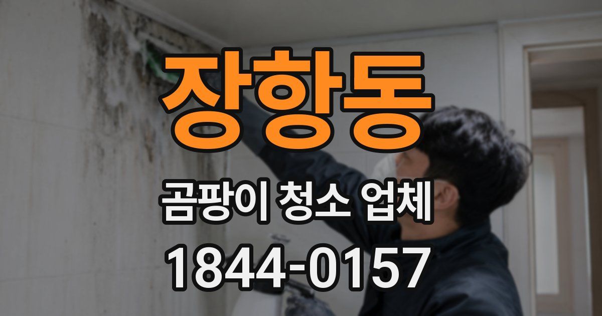 장항동 곰팡이 청소 업체