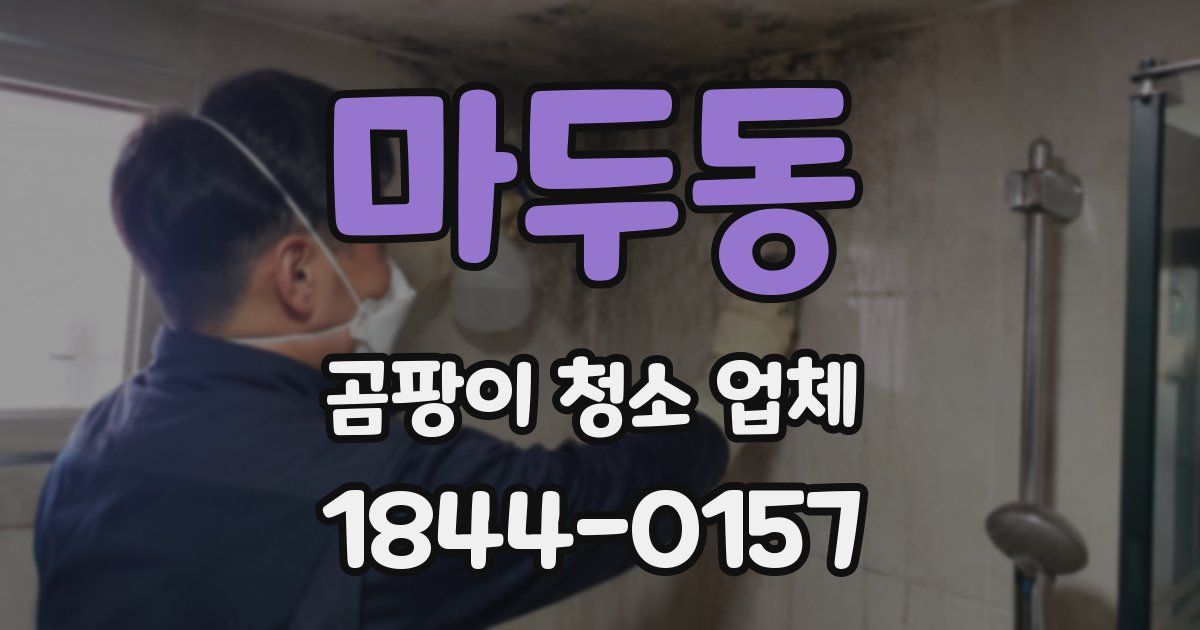 마두동 곰팡이 청소 업체